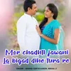 About Mor Chadhti Jawani La Bigad Dihe Tura Re Song